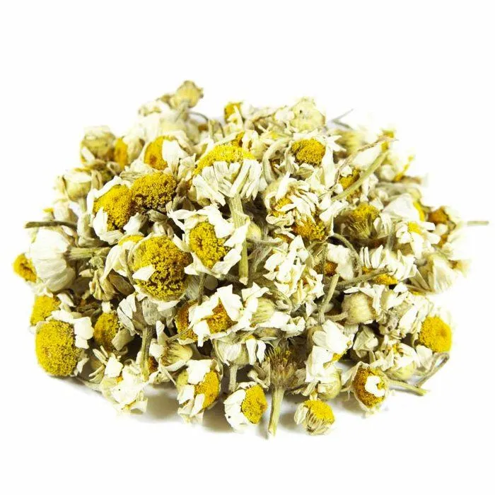Small business owner reviewing botanical ingredients Affordable botanical extract sourcing for small businesses